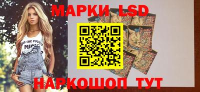 индика Ипатово