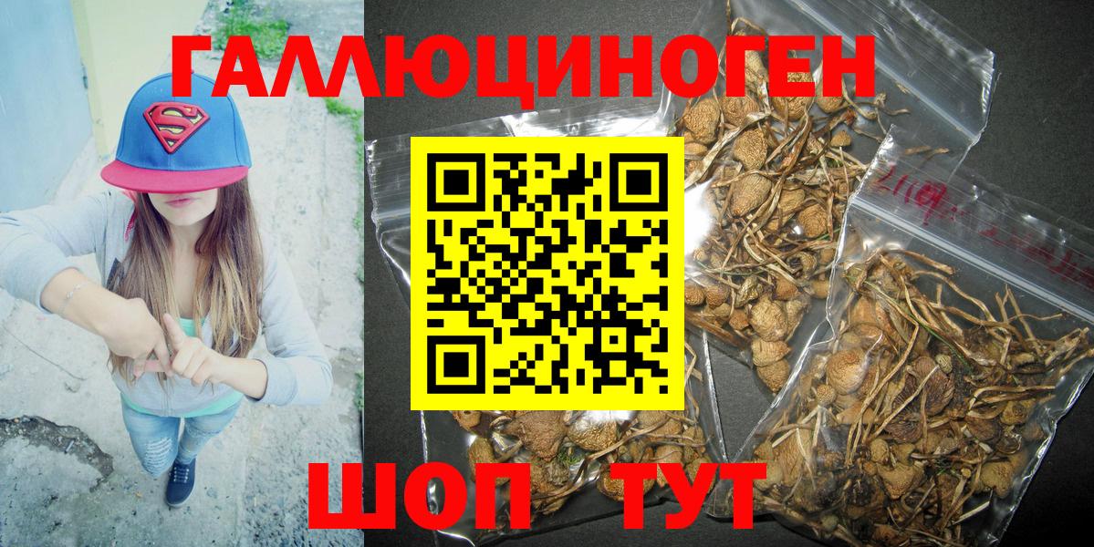 Златоуст  Галлюциногенные грибы MAGIC MUSHROOMS  Вход с VPN 